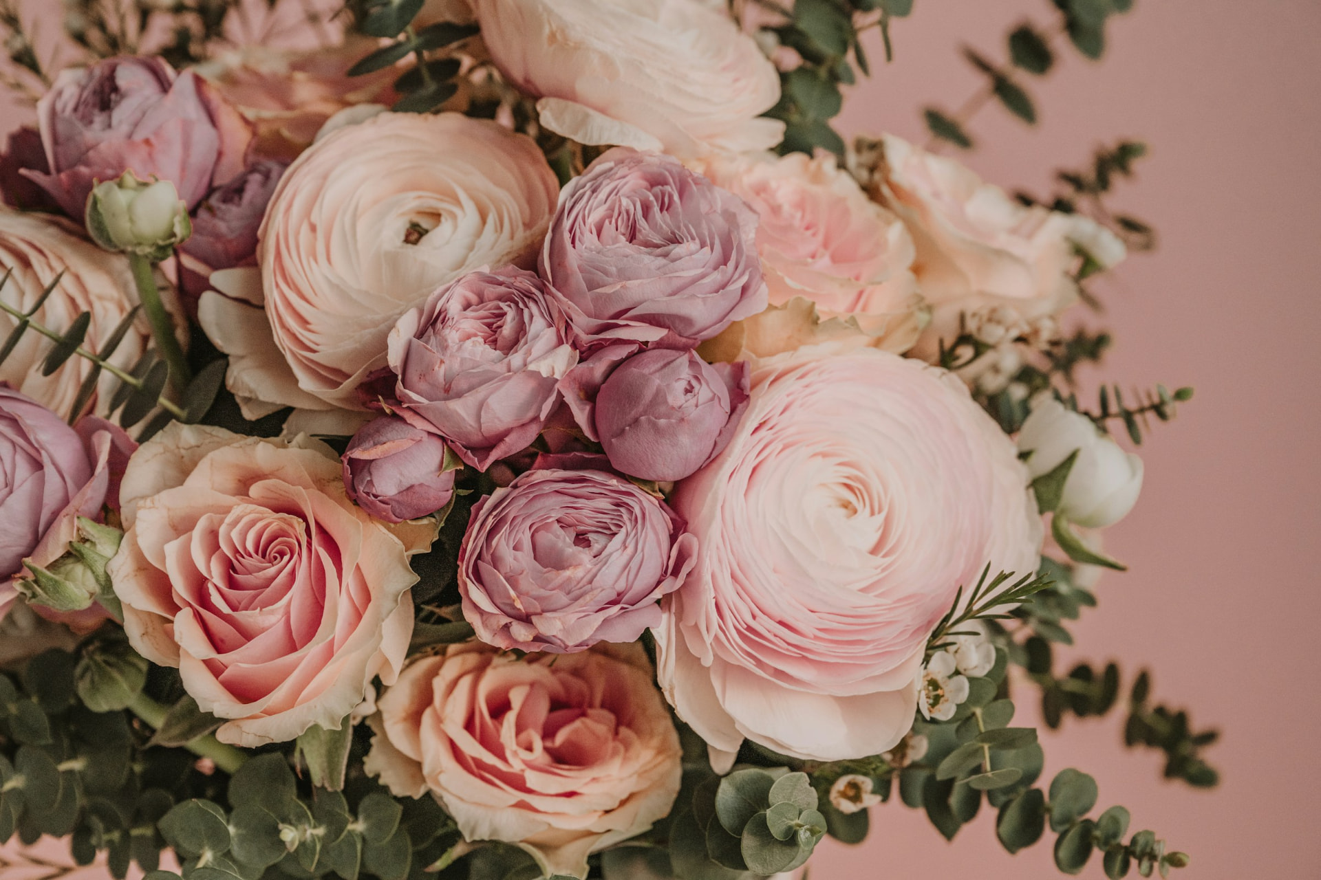 Soft blush roses and ranunculus with eucalyptus